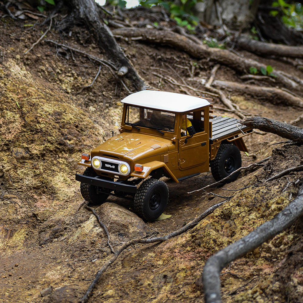 WPL JAPAN C44RTR – RAYWOOD