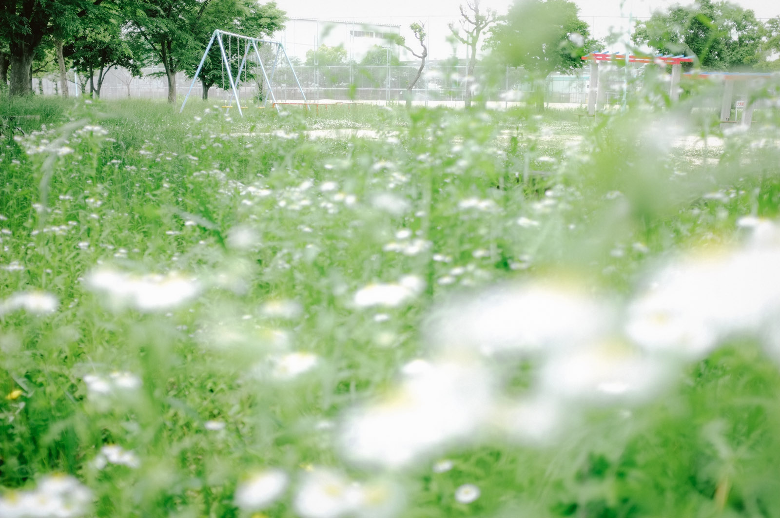 FUJIFILM X100 レビュー | RECO