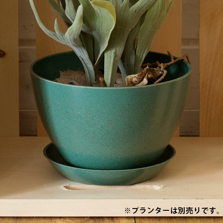植木鉢用 受け皿 エコプレート 鉢皿 3号 円形 底面直径 約10.5cm 高さ