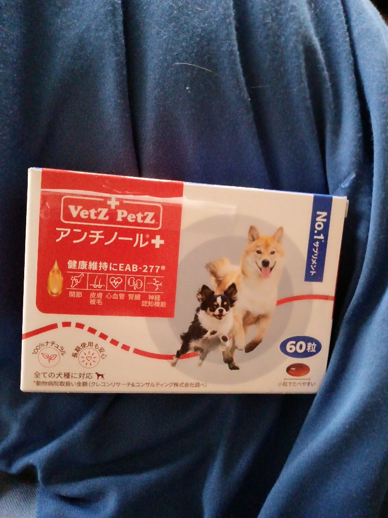 アンチノールプラス 60粒入り : 仁友堂 - 通販 - Yahoo!ショッピング