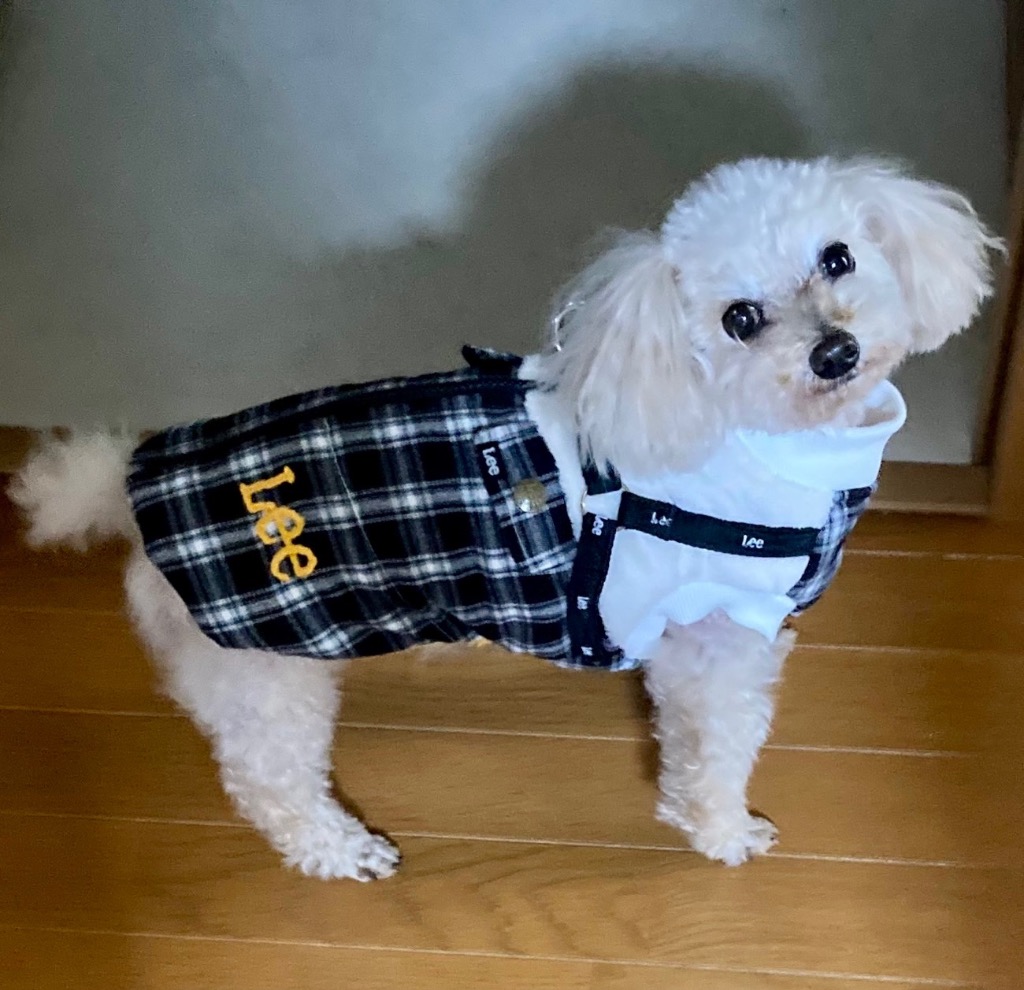 Lee（リー） 犬 服 冬 チェック アウターハーネス 小型犬 | ブラック
