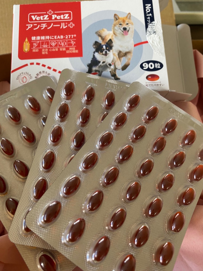 アンチノール プラス 犬用サプリメント 90粒のレビュー・口コミ
