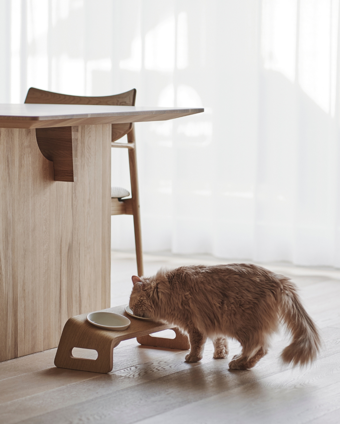 KARIMOKU CAT TABLE | Journal - RINN Inc.