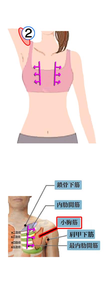 天城流湯治法 肩痛 腕痛 天城流マイスター 小松 隆