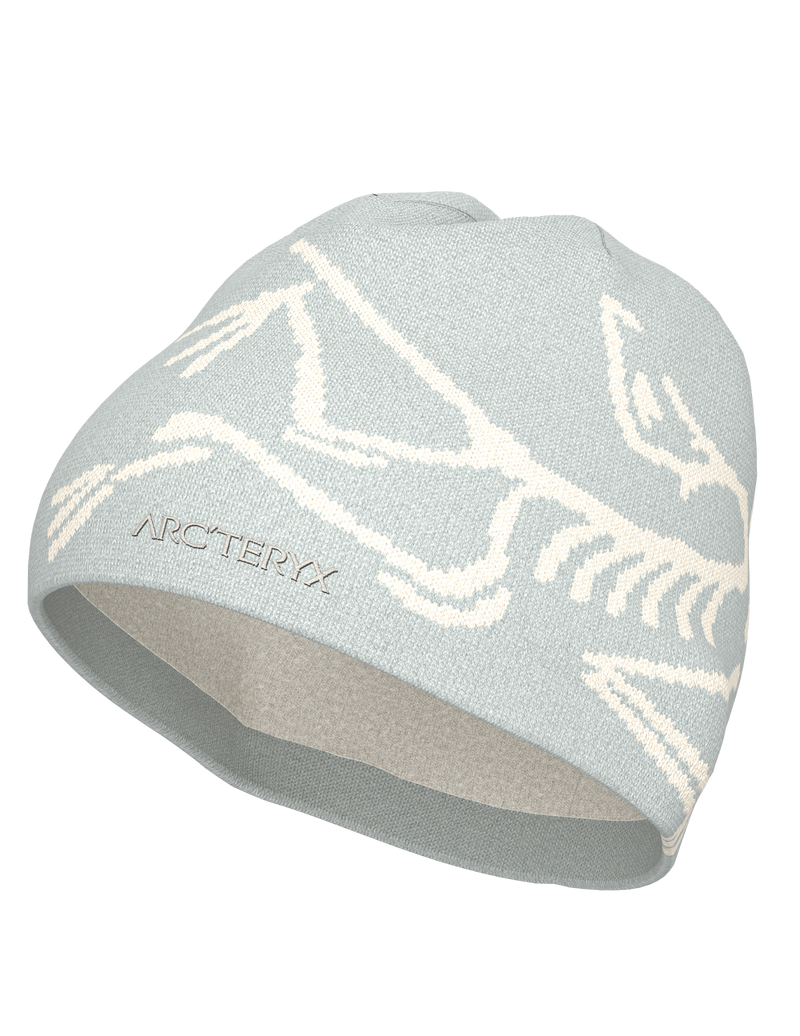 Arc'teryx Bird Head Toque | Ridge & River
