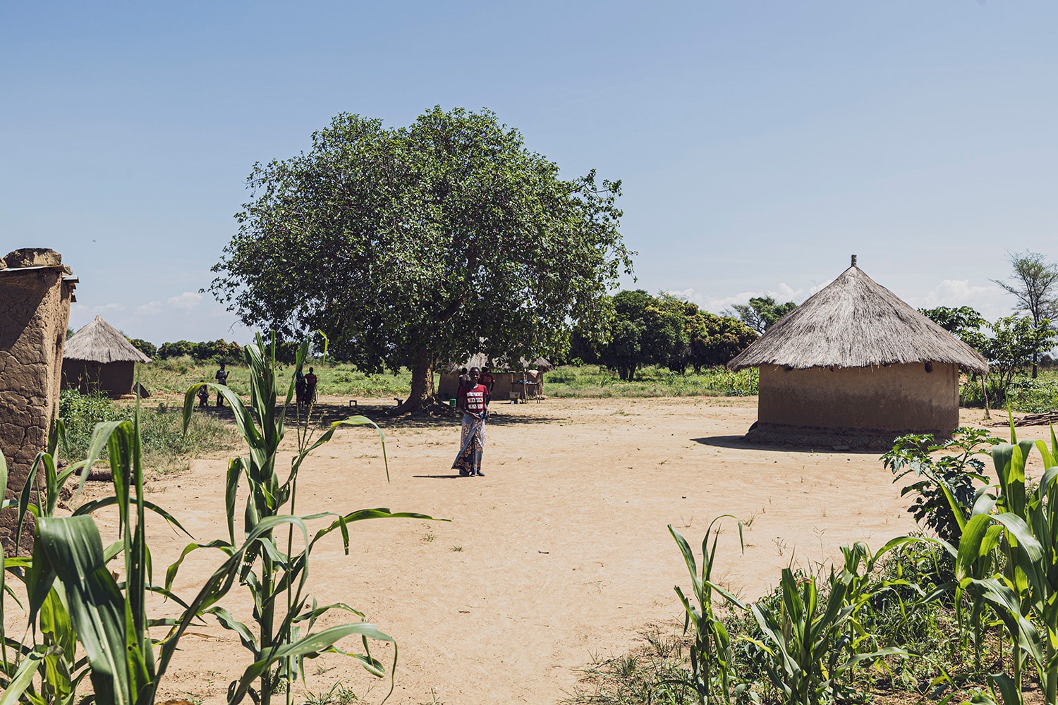 farmers 360° link｜Ron Herman