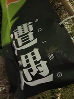 フジファブリック、「四季盤」以来のコンセプトCD2枚を年内発売 (2015