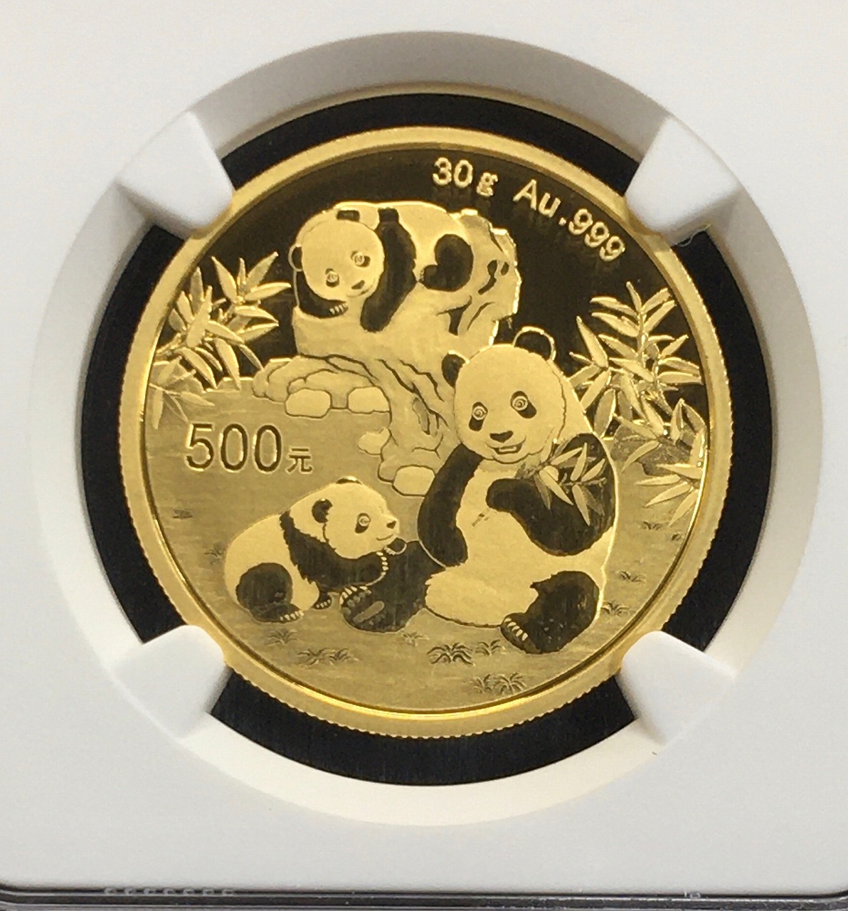 中国人民銀行 パンダ金貨 500元 2025年銘 純金 30g/プルーフ仕様 NGC