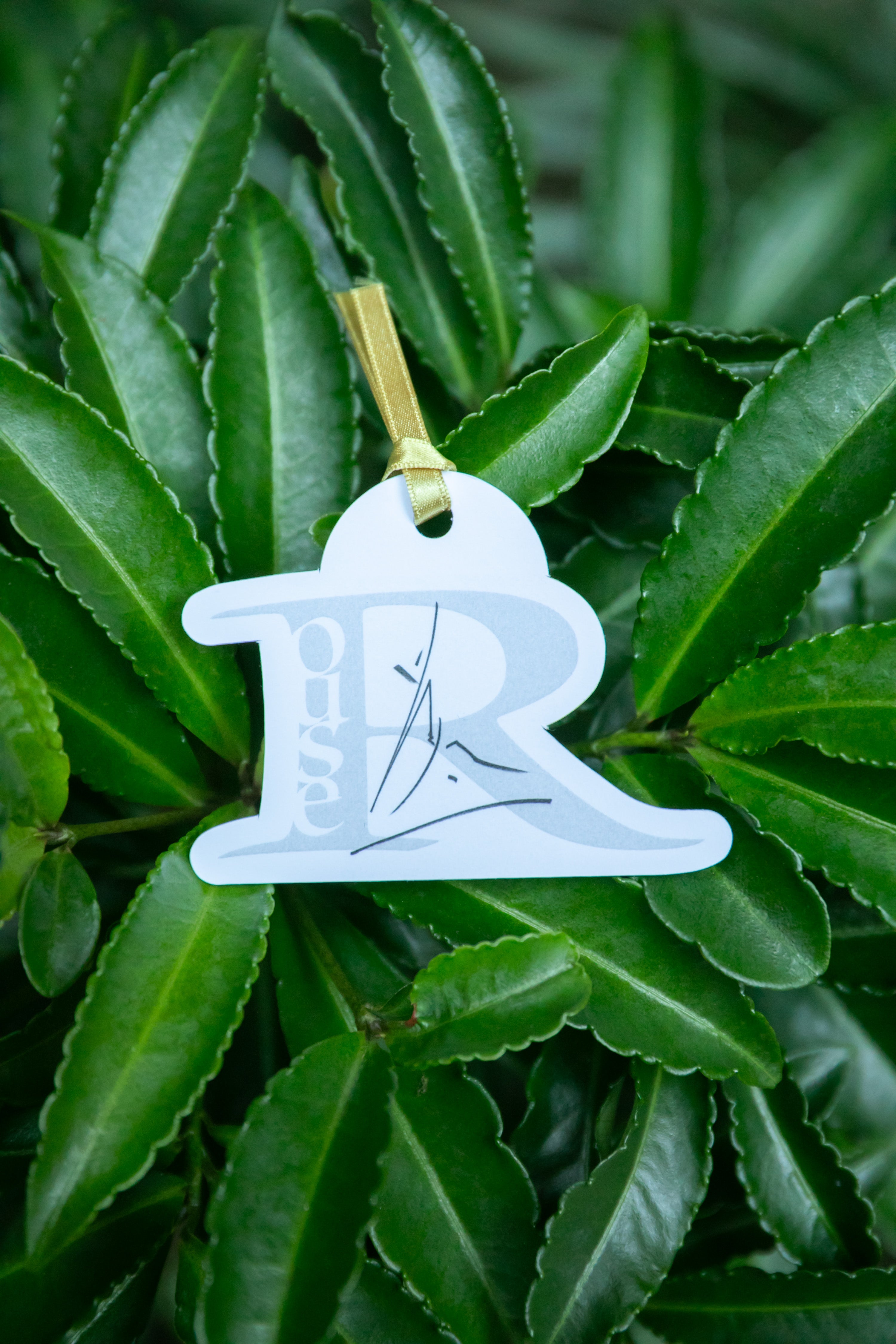 Rouse オードパルファン set （10mLロールオン+25mLスプレー） – SAOTOMADE