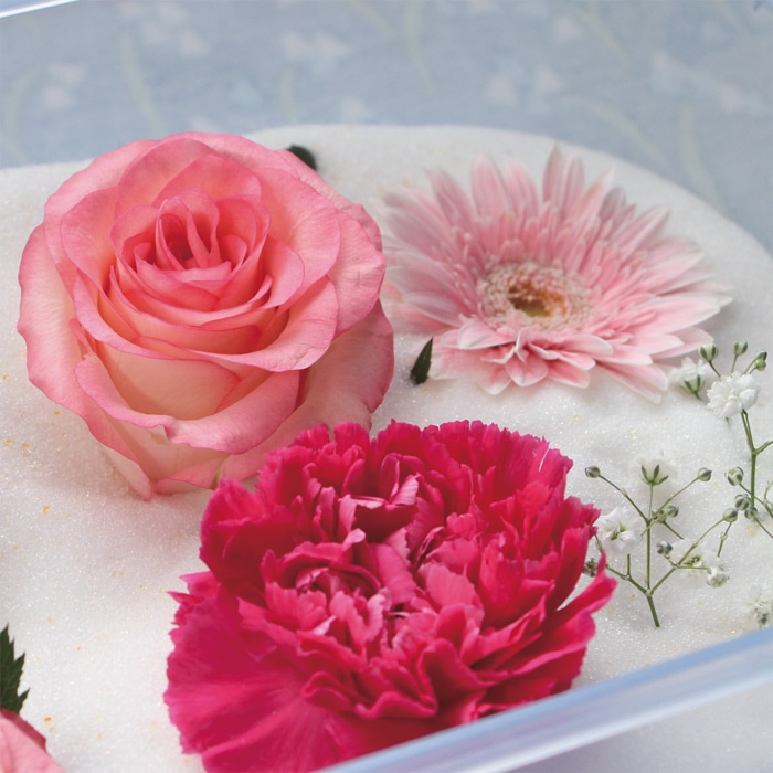 とても綺麗な色に仕上がるドライフラワーのためのシリカゲル｜種（タネ