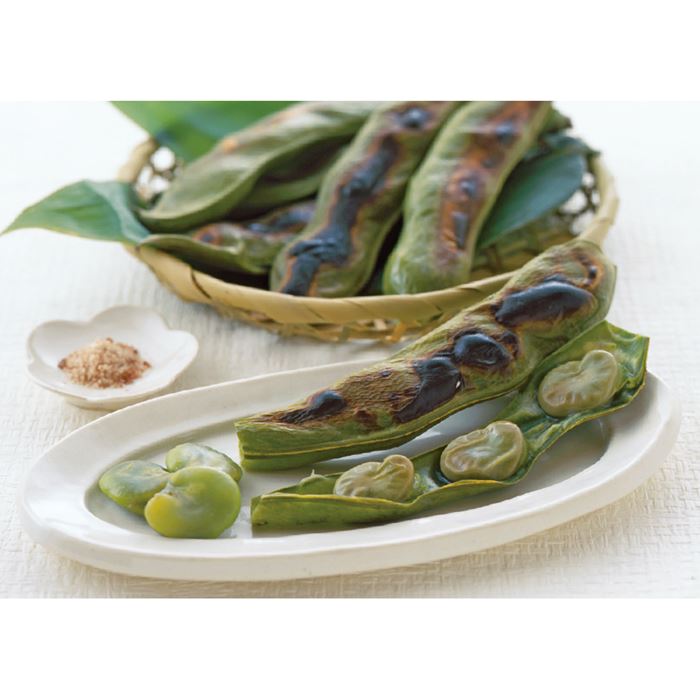 ソラマメ 打越一寸｜種（タネ）,球根,苗,資材,ガーデニンググッズの