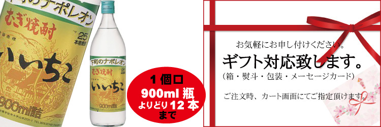 下町のナポレオン］本格麦焼酎 いいちこ 25度 900ml 【大分県 三和酒類