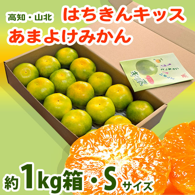 はちきんキッス・山北・あまよけみかん・1kg箱