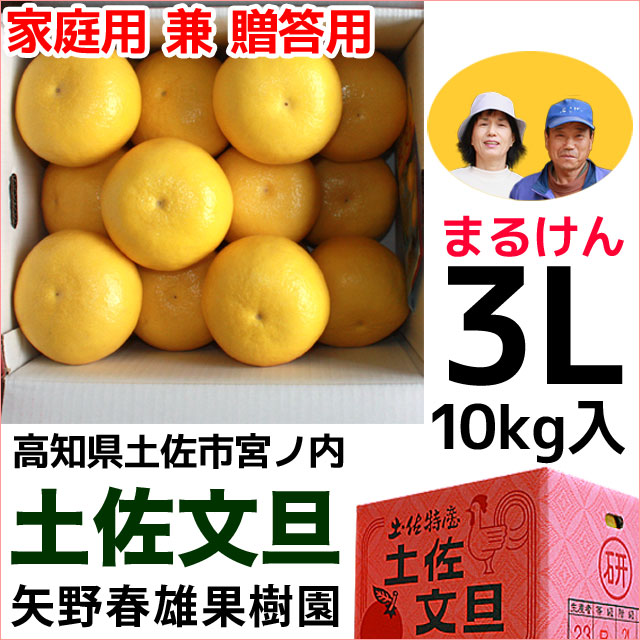 高知産文旦 家庭用贈答用3L10kgの通販
