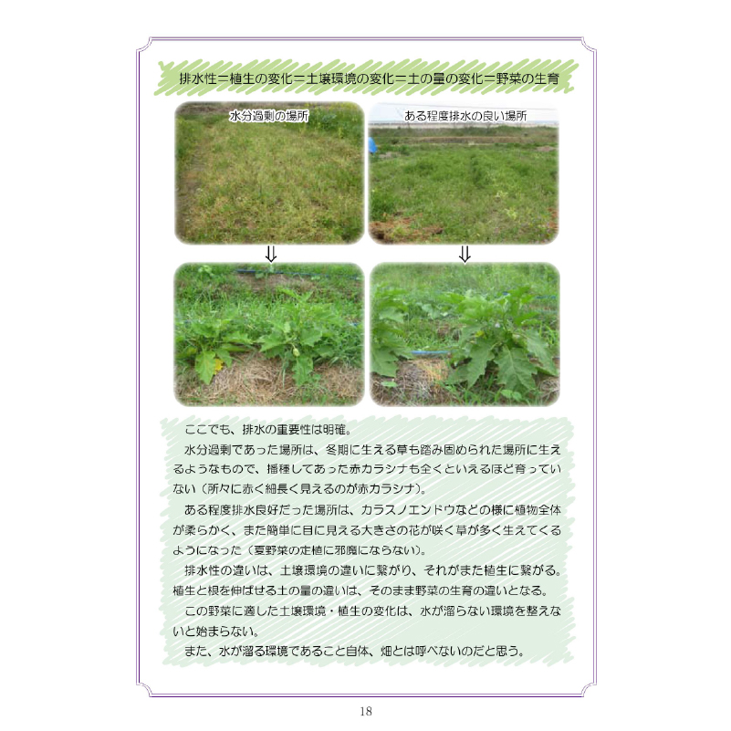 書籍：自然栽培 こうすりゃ育つ！どうしてできない？【在庫限り