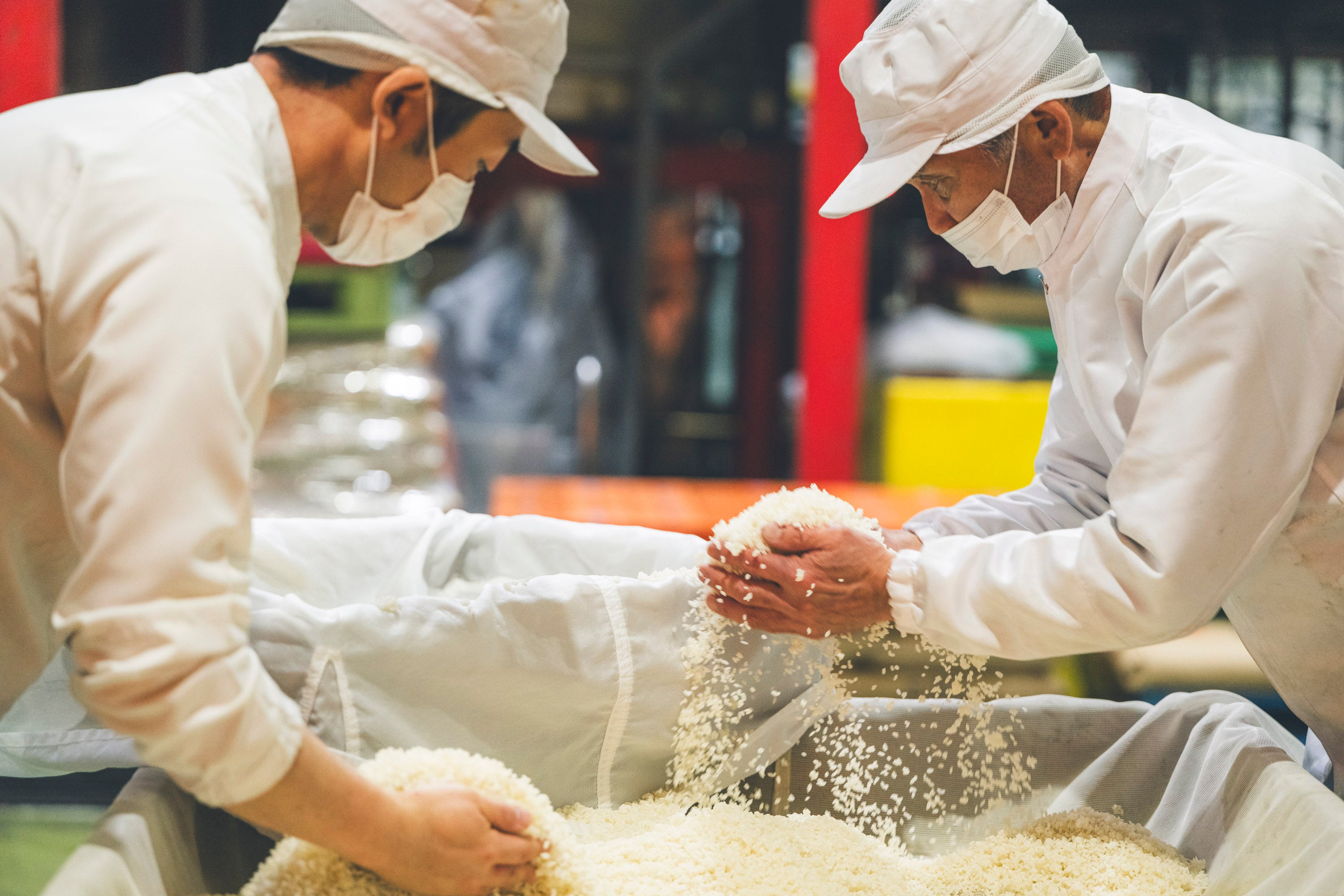 センナリ おいしさ研究所 大地：有機JAS認定「米の酢」を中心にのむ酢