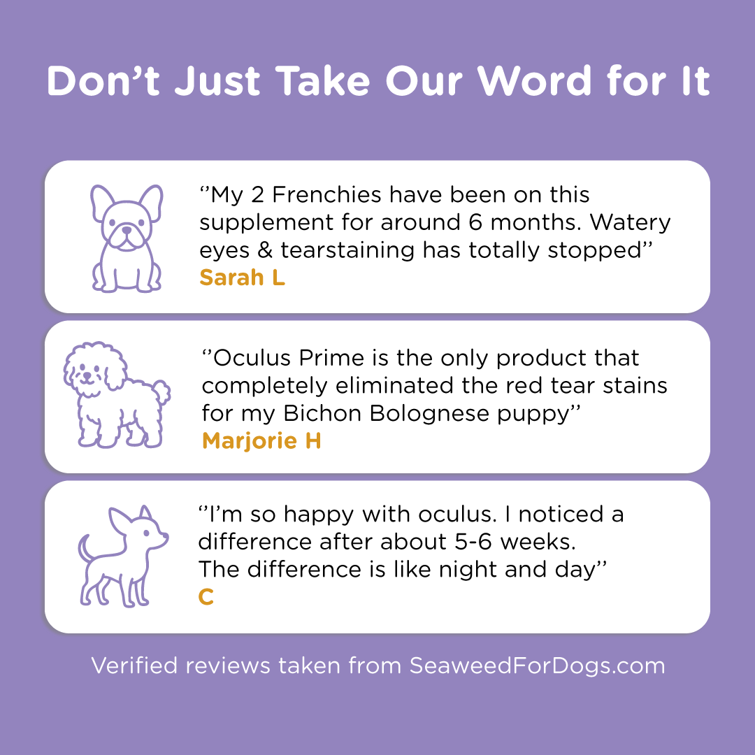 Oculus Prime Dog Tear Stain Remover - 100% Natural Treatment