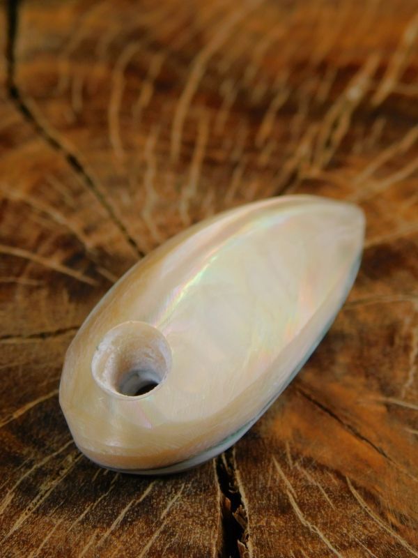 夜光貝磨き体験用パーツ≪二重真珠層パーツ≫ - Seamam夜光貝