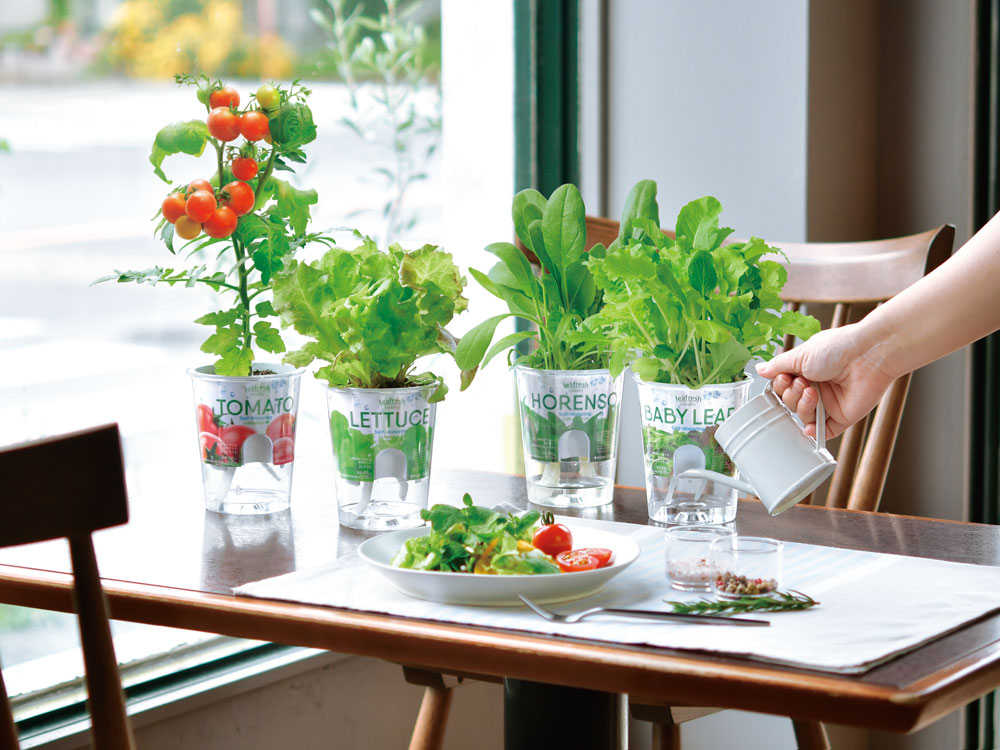 Fresh Feel｜お家で簡単！底面給水栽培セット