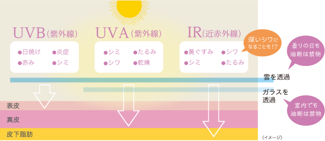 日やけ止めは“毎日使える”がいい。 | きれいのレシピ by セプテム