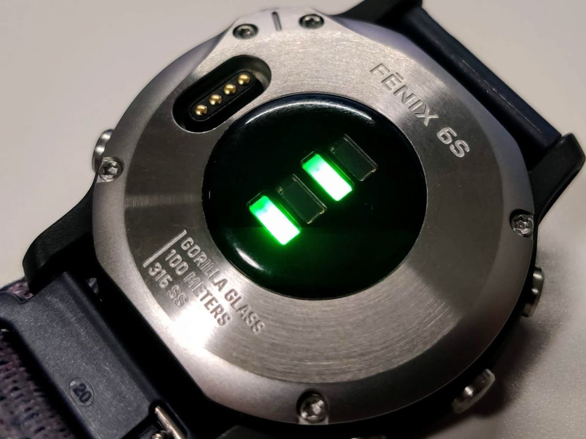 Garmin Fenix 6s Elevate光学式心拍計の精度について | すくみずログ