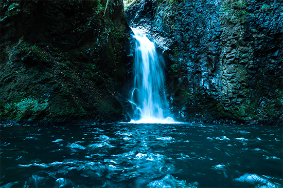 勝山 午年2026年干支ラベル 純米大吟醸（金粉入り） 720ml | 勝山