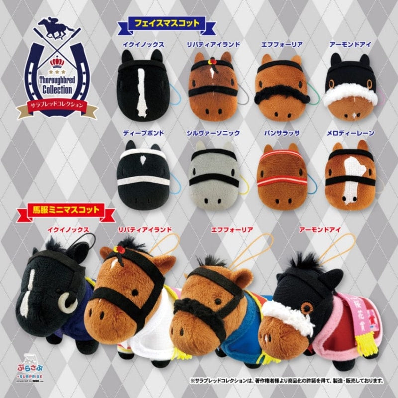 サラブレッドコレクション ぷらさぷ BOXセット｜netkeiba