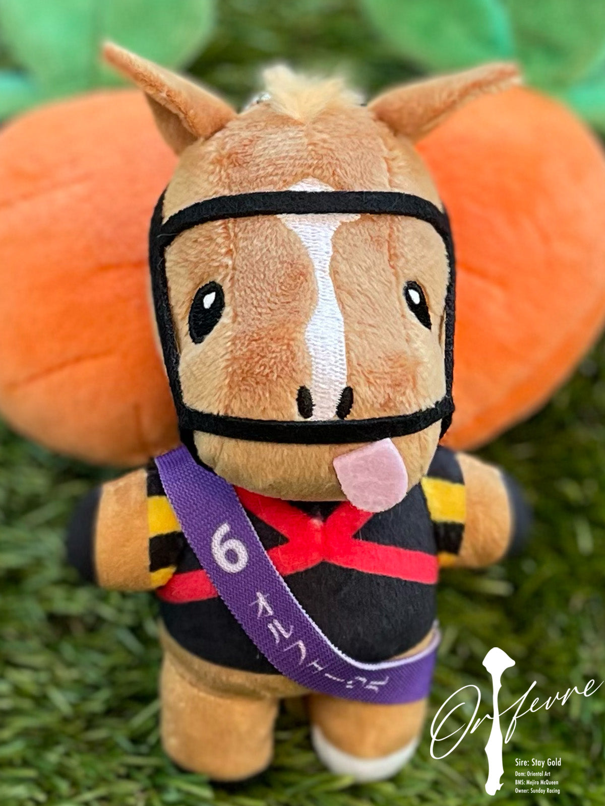 すべての商品｜netkeiba