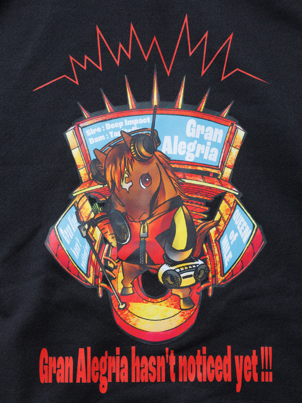 グランアレグリア・ジップアップパーカー｜netkeiba