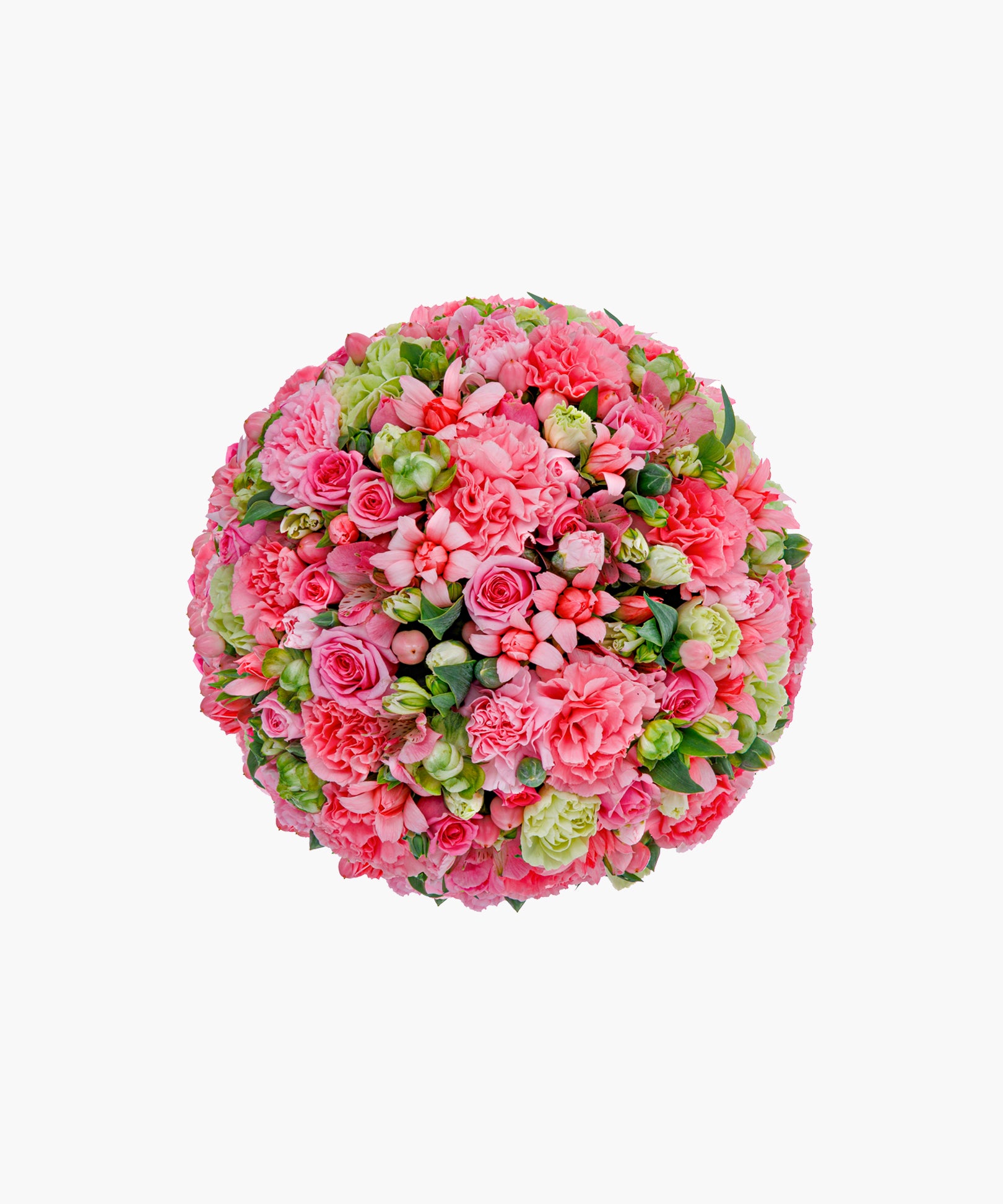 Pastel Whisper (パステル ウィスパー）