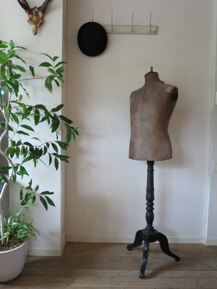 アンティーク トルソー メンズ | antiques-educo online shop