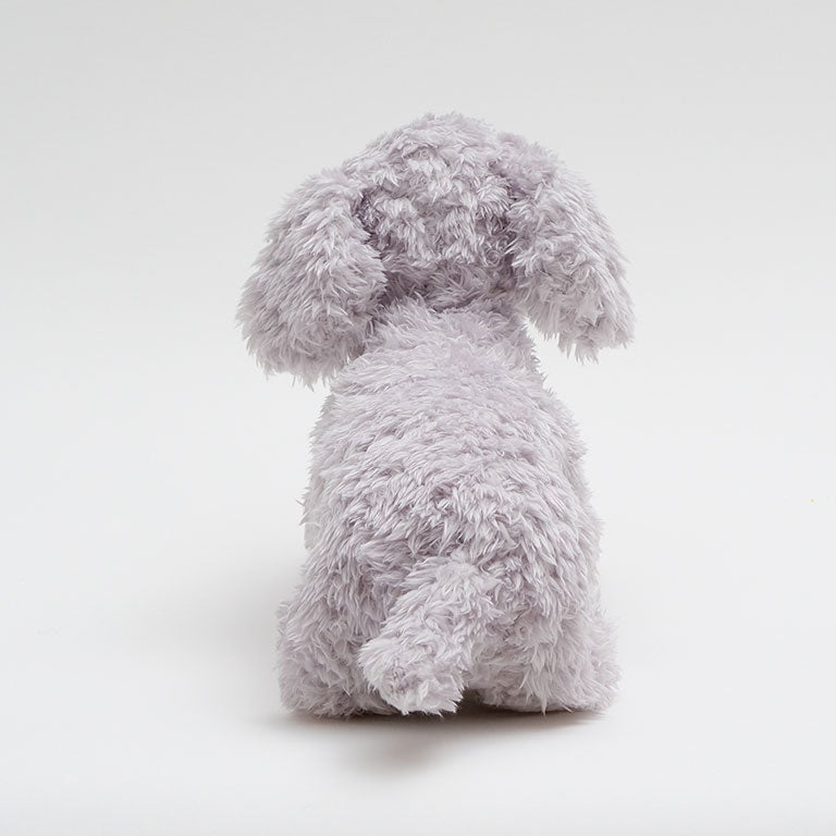 テディプードル グレー | DOGBASE YOKOHAMA