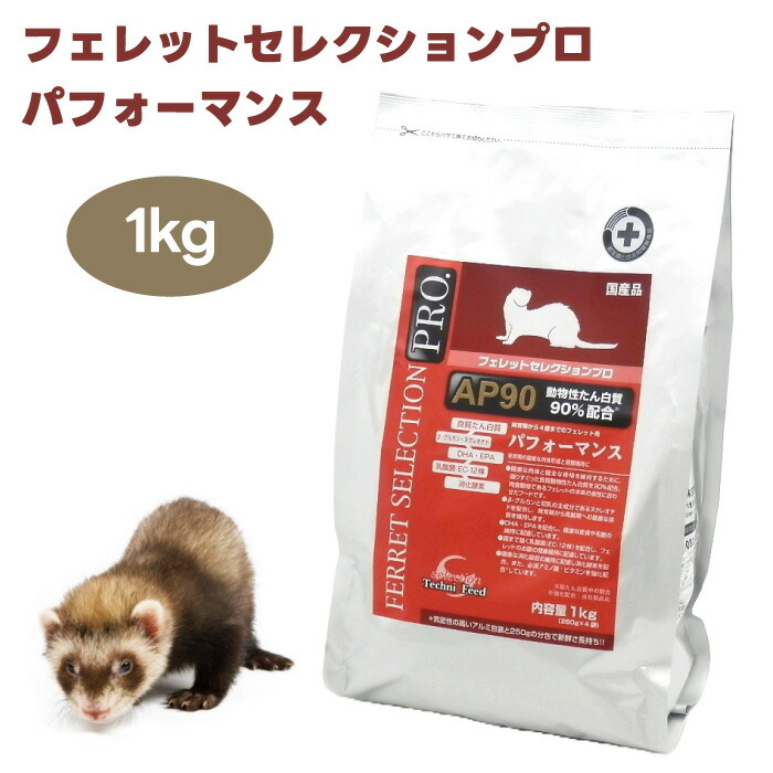 楽天市場】【最大1000円オフクーポンあり】イースター フェレット