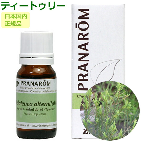 楽天市場】プラナロム フランキンセンス 10ml プラナロム アロマオイル