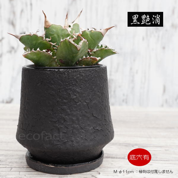 楽天市場】陶器鉢 植木鉢 ミニポット 底穴あり オルガL ブラック 黒