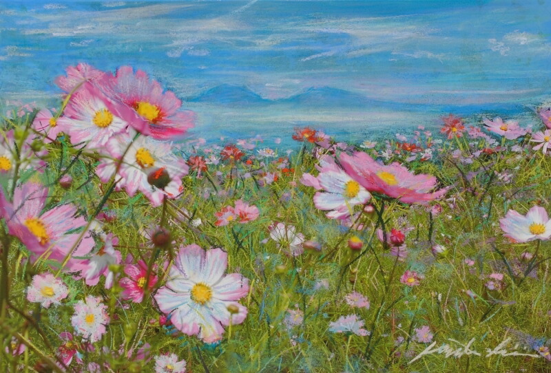 楽天市場】コスモス 花 絵画 油絵 あらきゆみ 「陽だまりに咲く倖せ