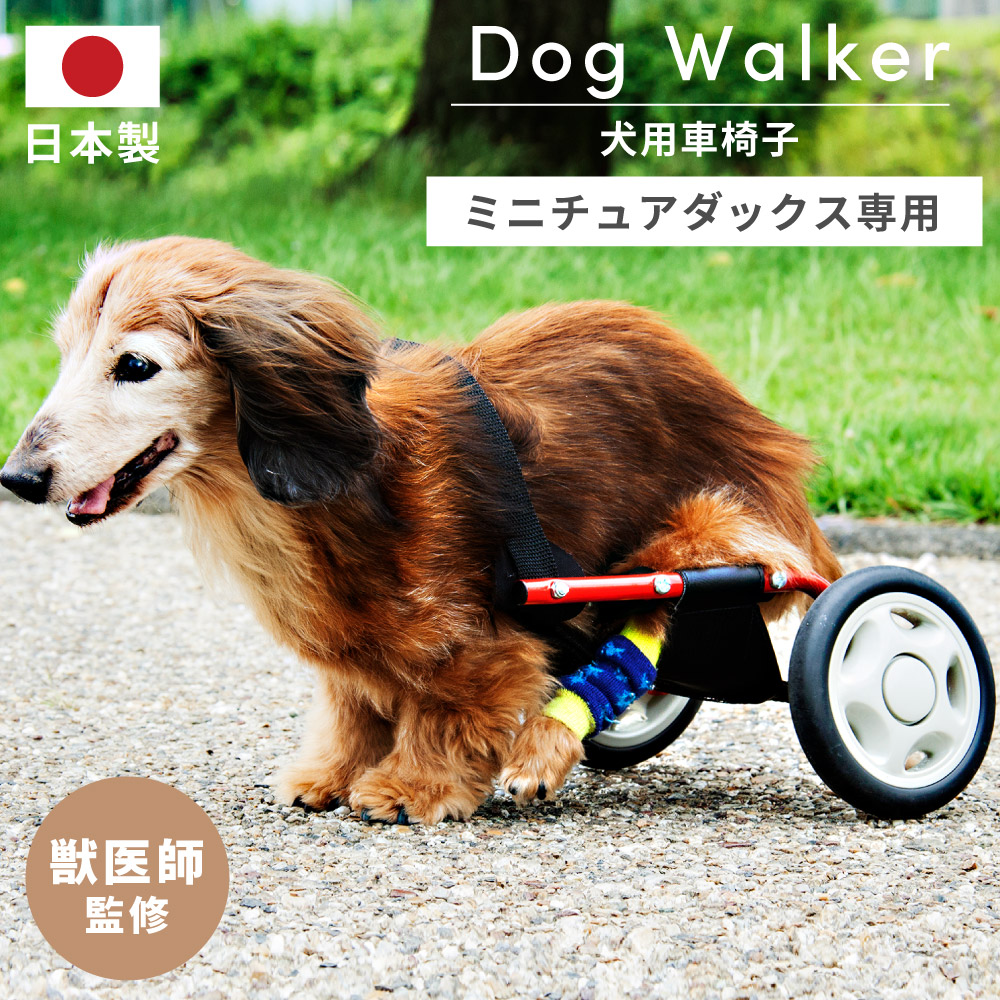 楽天市場】犬用車椅子 車いす ミニチュアダックスフンド専用 日本製 犬