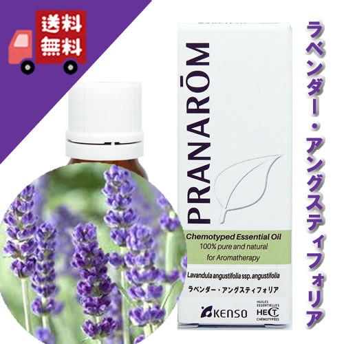 楽天市場】【ベチバー / ベチパー 5ml】→奥深く後を引くノートで