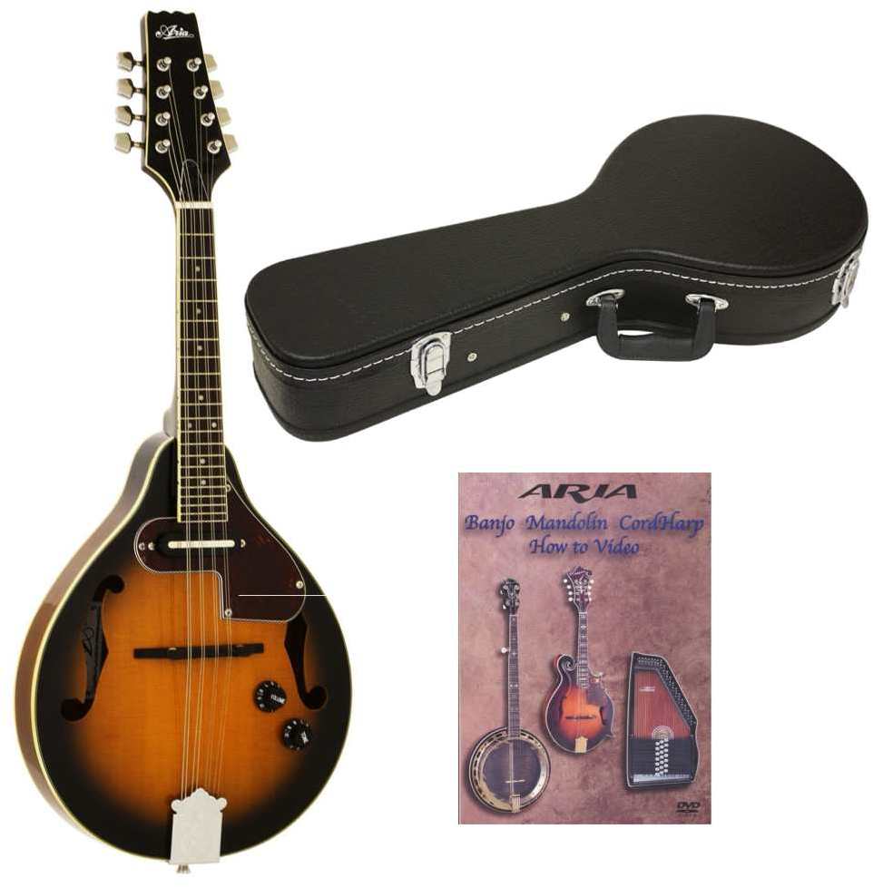 楽天市場】ARIA アリア CG-100M フラットマンドリン用ハードケース