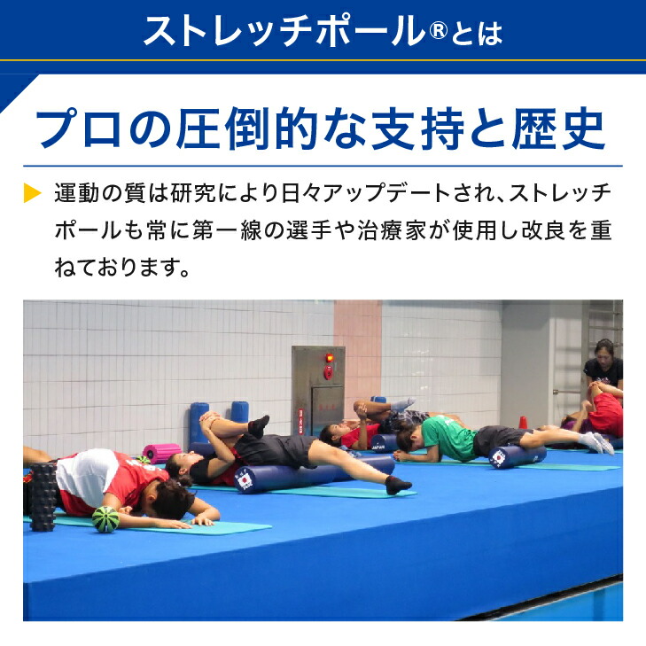 LPN ストレッチポールEX(アイボリー)スタートBOOK、エクササイズDVD