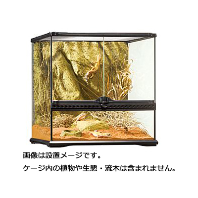 楽天市場】GEX グラステラリウム 4545 爬虫類 飼育 ケージ ガラス