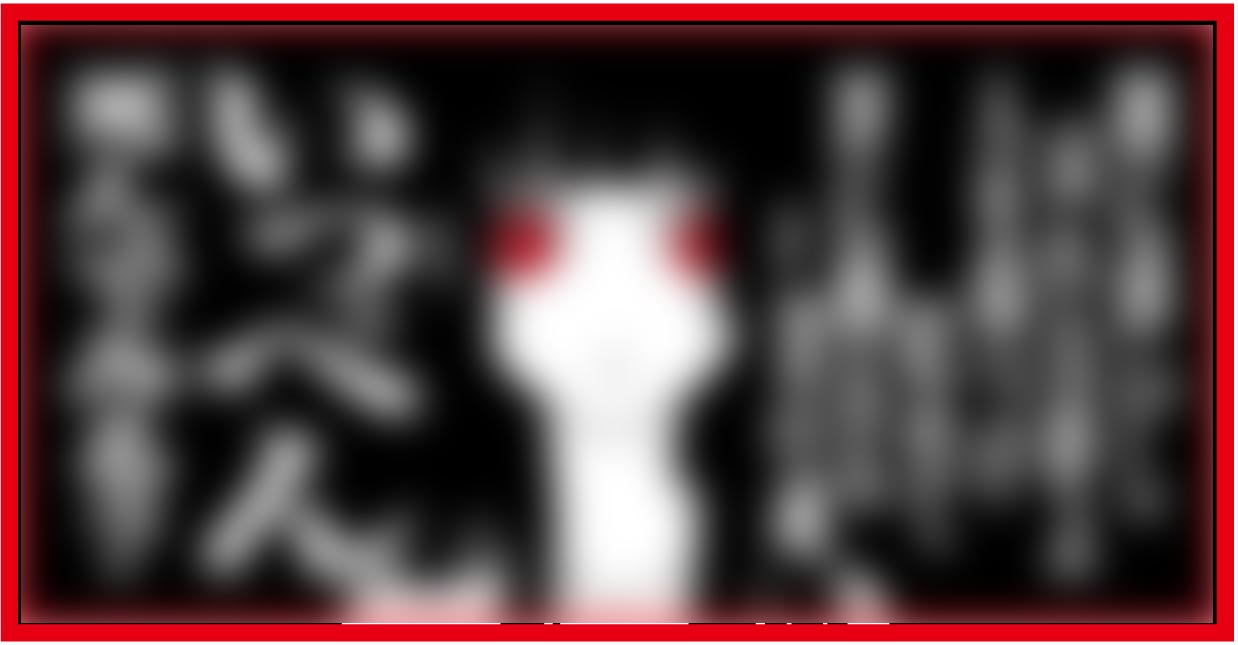 楽天市場】代引対応可 トラック デコトラ アンドン板 大型ナンバー