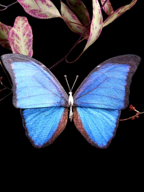 Sipka Online Shop / レザー蝶ブローチ モルフォ蝶