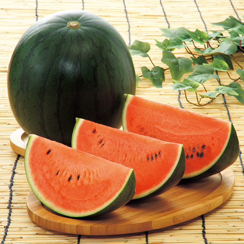 マルシェ 茨城県産 黒こだまスイカ（黒皮・赤肉）| 種・苗