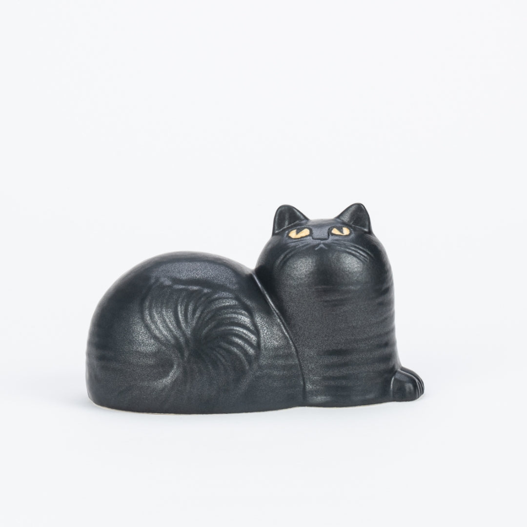 スウェーデンで見つかった、37の幻の猫たち！