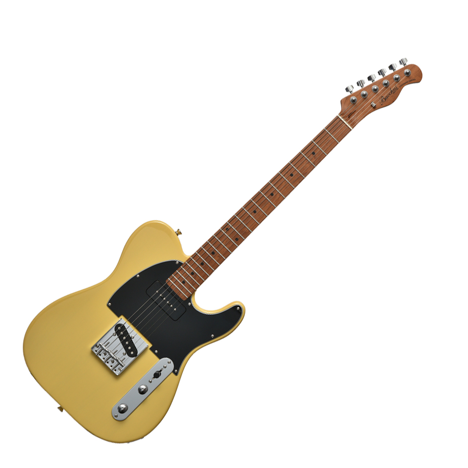 Bacchus（バッカス） バッカス / BTE-2-RSM/M おまけ付き テレキャス