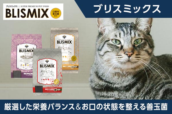BLISMIX ブリスミックス グレインフリーキャット 2kg : my DOG - 通販