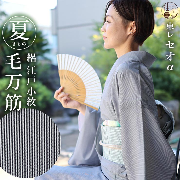 TORAY（東レ） 洗える 夏 着物 夏きもの 絽 江戸小紋 毛万筋 黒色 M L