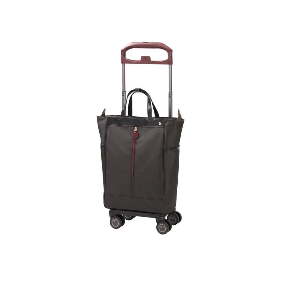 Ace（エース） ACE soelte ソエルテ アルディート 20リットルキャリー