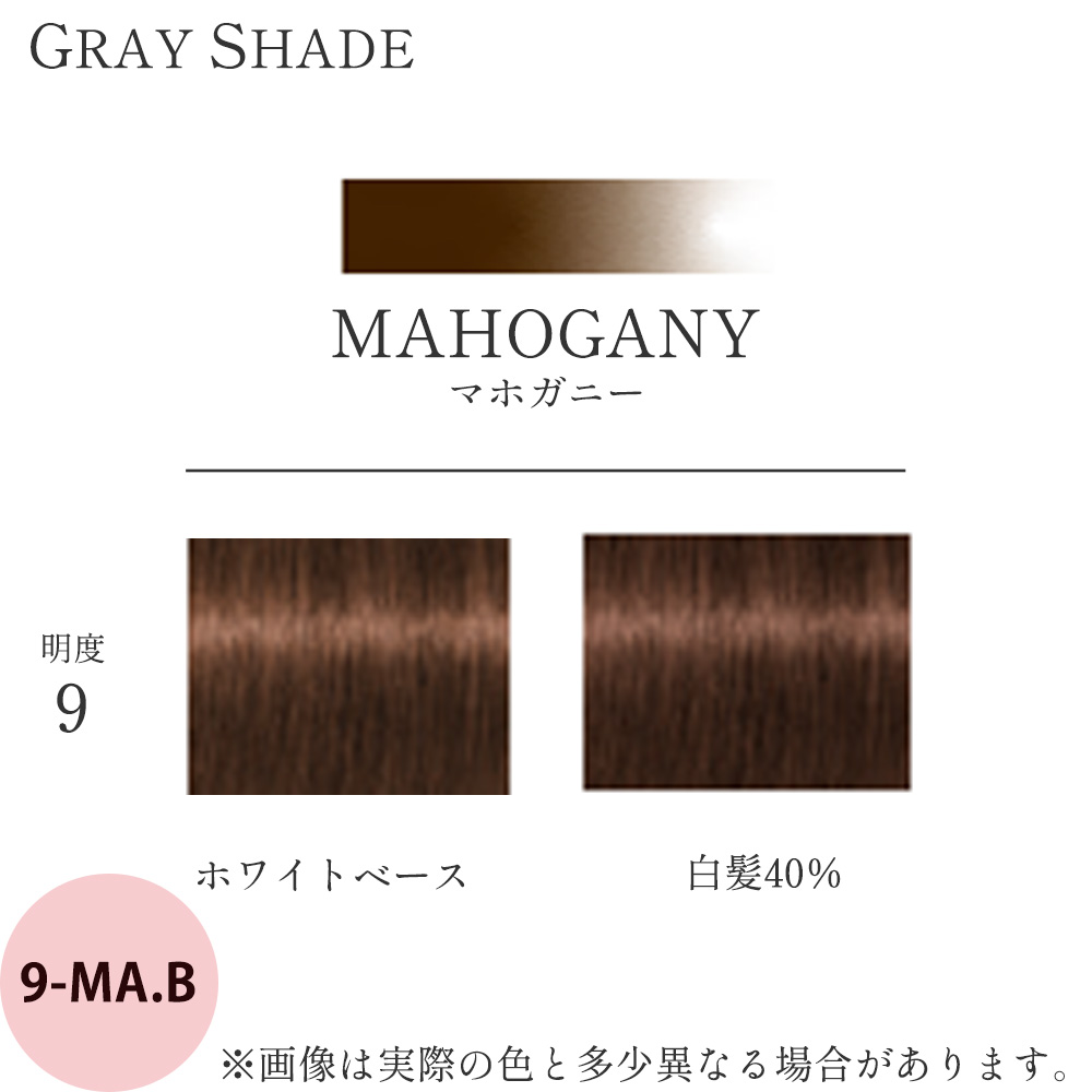 Schwarzkopf PROFESSIONAL（シュワルツコフ プロフェッショナル